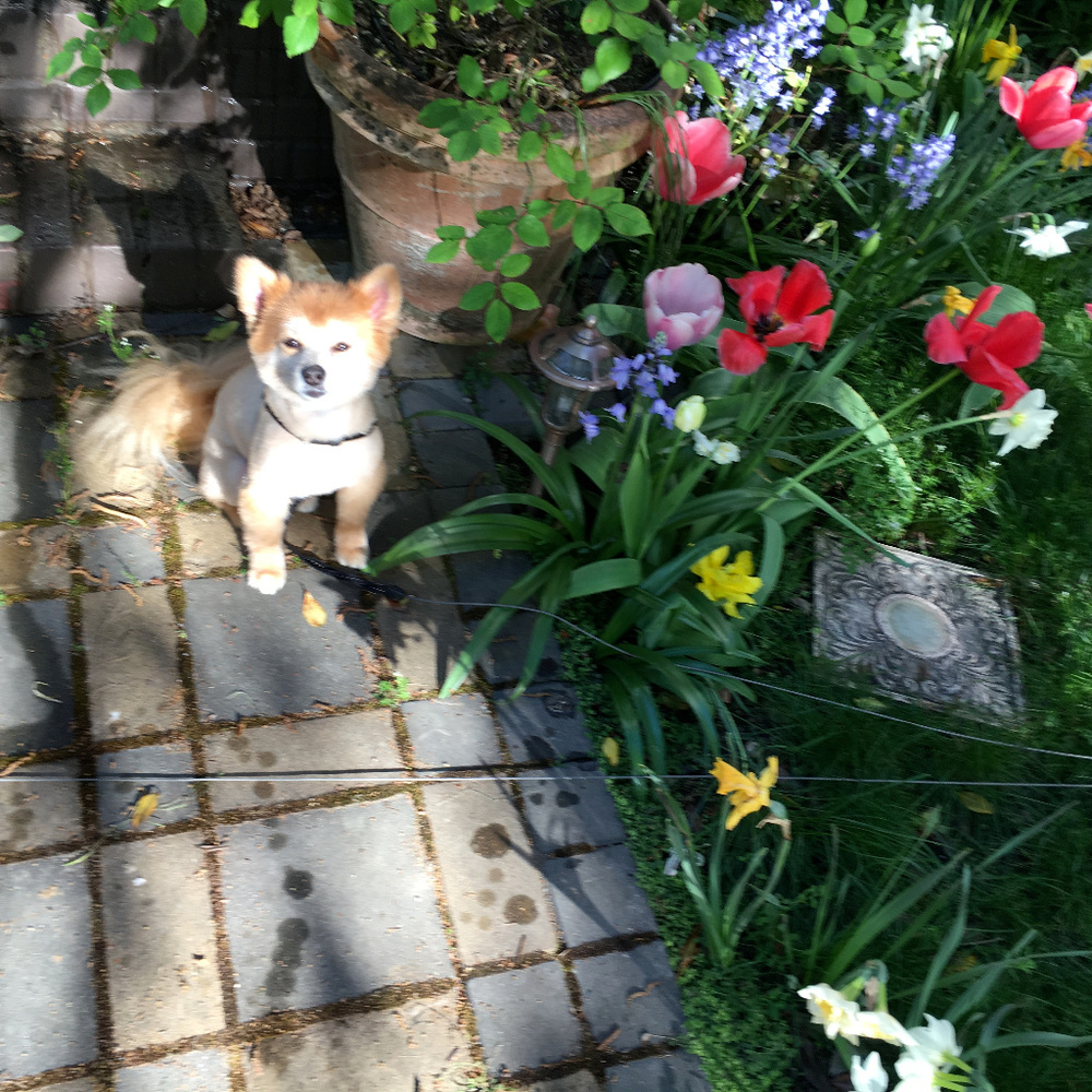 Meet your Posher, H!